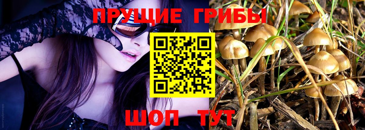 Аша  Галлюциногенные грибы мицелий  Вход с VPN  Псилоцибиновые грибы Magic Shrooms 
