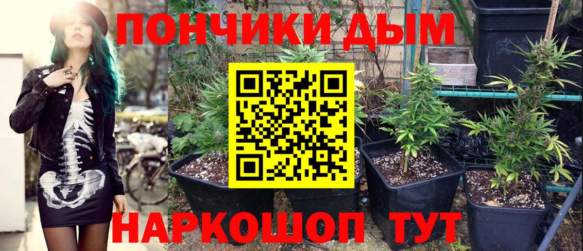 Конопля Amnesia Аша